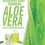 Proses Industri Berbahan Baku Tanaman Aloe Vera (Aloe Chinensis Baker)