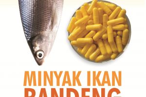 Minyak Ikan Bandeng (Chanos chanos Forskal)