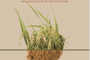 Dedak Padi (Rice Bran): Potensi, Proses Pengolahan, dan Analisis Nilai Tambah Produk sebagai Bahan Baku Bioaktif dan Bioaditif