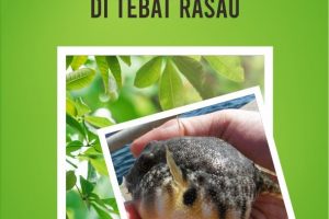 SEKELUMIT TENTANG TUMBUHAN DAN IKAN DI TEBAT RASAU
