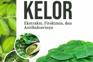 Ragam Bioakivitas Kombinasi Tanaman Kelor : Ekstraksi, Fitokimia, dan Antibakterinya