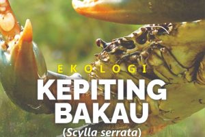 Ekologi Kepiting Bakau (Scylla serrata) dan Upaya Pengelolaan Berkelanjutan