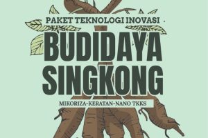 PAKET TEKNOLOGI BUDIDAYA SINGKONG Mikoriza-Keratan-Nano TKKS
