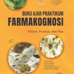 WhatsApp Image 2025-11-18 at 16.19.14