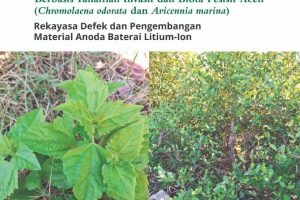 Fitofabrikasi Nikel Oksida (NiO) Berbasis Tanaman Invasif dan Biota Pesisir Aceh (Chromolaena odorata dan Avicennia marina) Rekayasa Defek dan Pengembangan Material Anoda Baterai Litium – Ion
